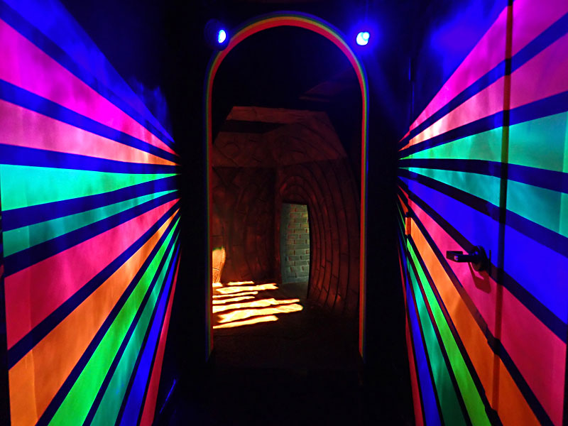 Meow Wolf, Grapevine