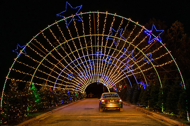 Austin Trail of Lights Through the Windshield Zilker holiday