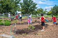 Snapshot: Austin Discovery School’s Garden Work Day