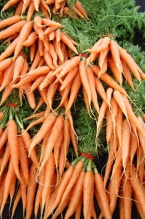 The Farmers’ Market Report: March 22-23, 2014