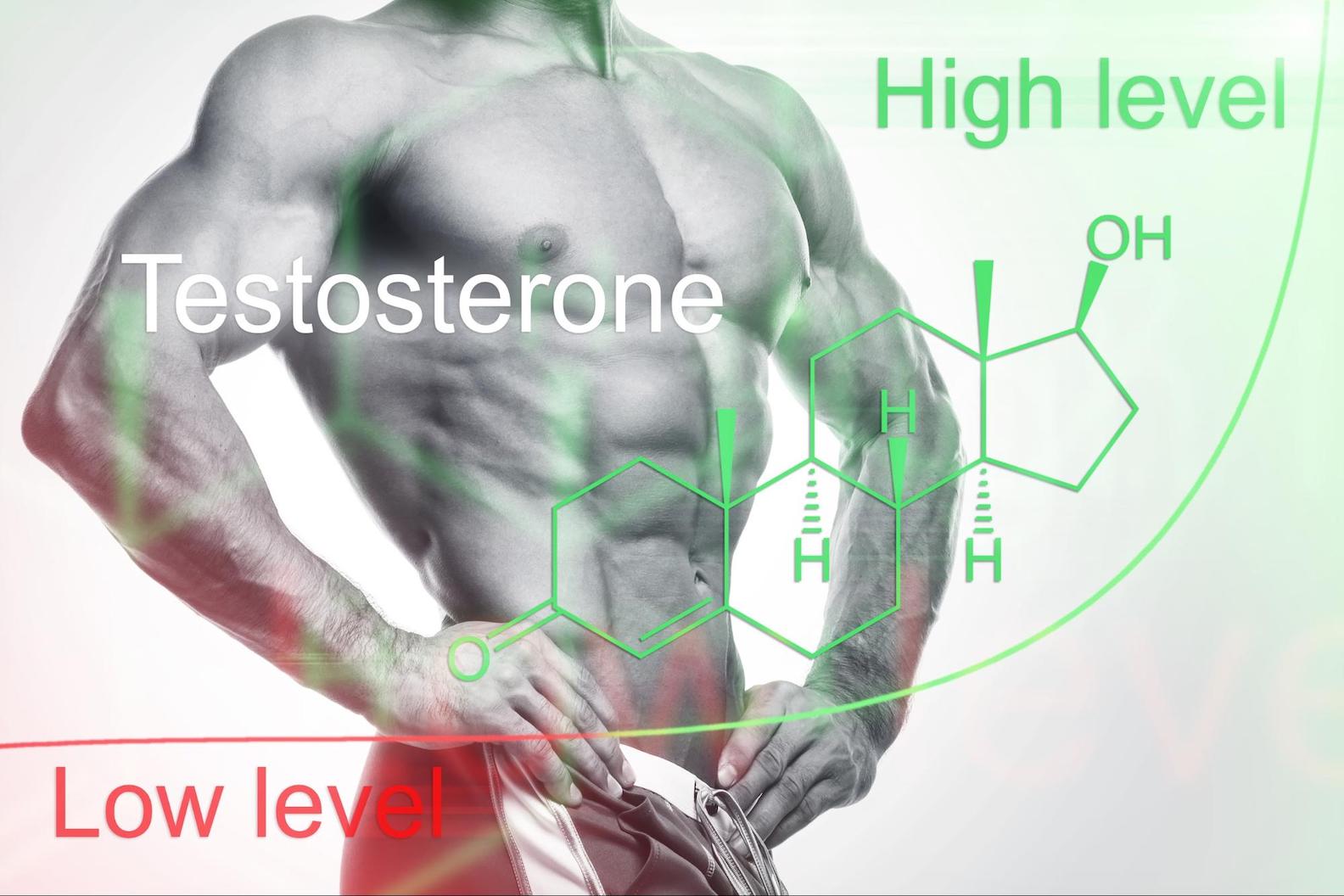 Best Testosterone Boosters Supplements (2021): Increase sex drive