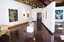 D Berman Gallery