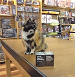 The Bookstore Cat Is Alive and Well