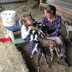 Bee Tree Farm’s Owner Shares Life on a Busy Goat Dairy Farm