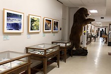 Day Trips: SHSU Natural Science and Art Research Center, Huntsville