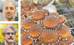 Hi-Fi Mycology on Fungi's Potential to Change the Way We Eat