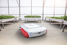 Automation Is the Future of Food, and the Future Is Now