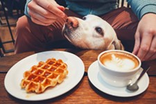 Dog-Friendly Coffee Shops in Austin