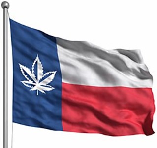 Should Texas Legalize Marijuana?
