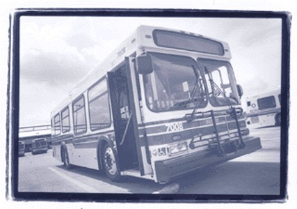 The 'Empty Bus' Myth