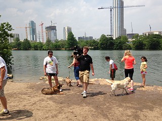 Dogs and their owners gather at Auditorium Shores April 27 as part of a Million Dog Walk to protest new leash restrictions at what was once an entirely off-leash park. The event was timed to coincide with the nearby Food & Wine Festival.
