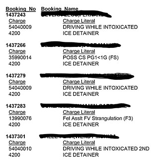 A sample roll call list of those held in the Travis County Jail on ICE detainers