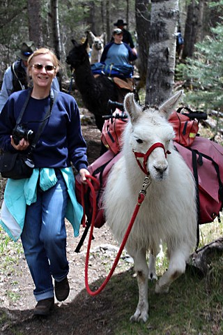 Day Trips: Llama Adventures, Taos, N.M.