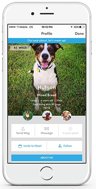 BarkHappy App Connects Pups for Playtime