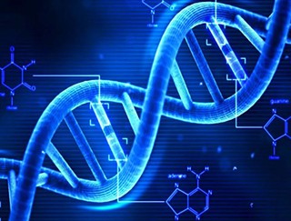APD’s Backed Up DNA Backlog