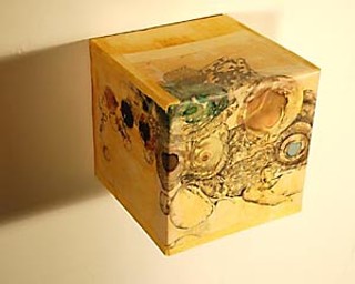 <i>Biology Box #1</i>, by Marjorie Moore