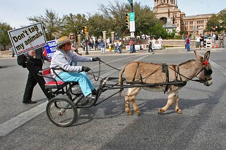 Rural folks – and their animals – came to the Capitol on Texas
Independence Day to protest two issues that they feel threaten their way
of life: the Trans-Texas Corridor and the National Animal Identification
System. The former, of course, is Rick Perry’s well-publicized dream of
a colossal system of toll roads and rail that would crisscross the state
and dwarf the interstate system; the latter is a federal program to
microchip farm livestock to track disease outbreaks. “The TTC stands to
be the largest land-grab and eminent domain project in the history of
this country,” said Hank Gilbert, the unsuccessful 2006 Democratic
nominee for state agriculture commissioner. “And the National Animal ID
System will impact every person who owns even one horse, chicken, goat,
sheep, pig, or cow. This massive government program will have an
immediate impact on rural Texas and ultimately raise the cost of food
for everyone.”