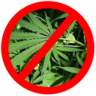 APD Says No to Pot