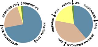 (l)2000 Travis County child fatalities by cause, (r)child fatalities by ethnicity.