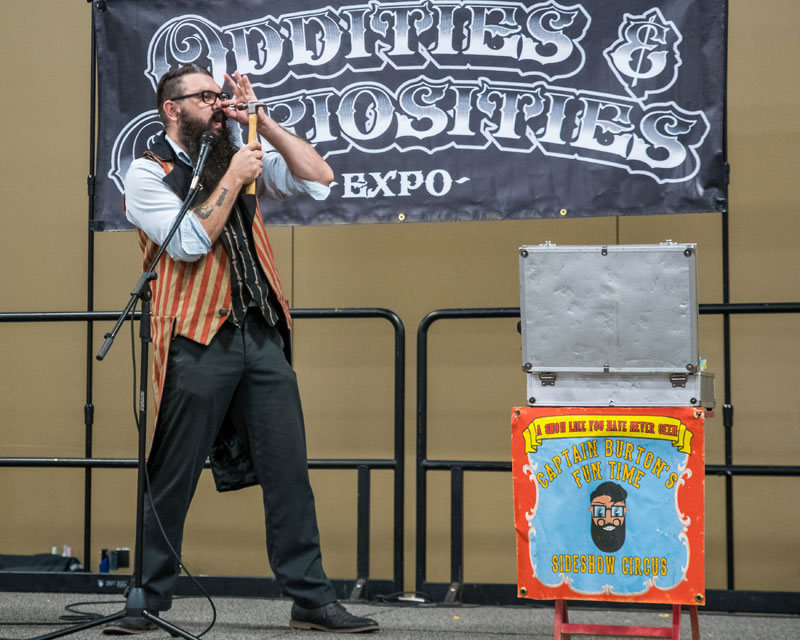 charlotte oddities and curiosities expo