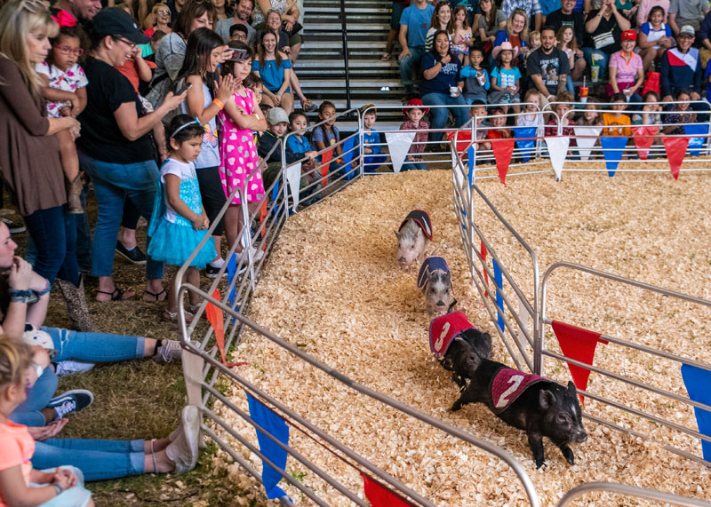 81st Annual Rodeo Austin at Travis County Expo Center 1 of 70