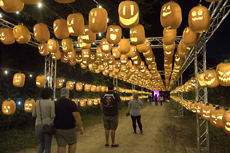 Pumpkin Nights Takes the Humble Jacko’Lantern to New, Magical